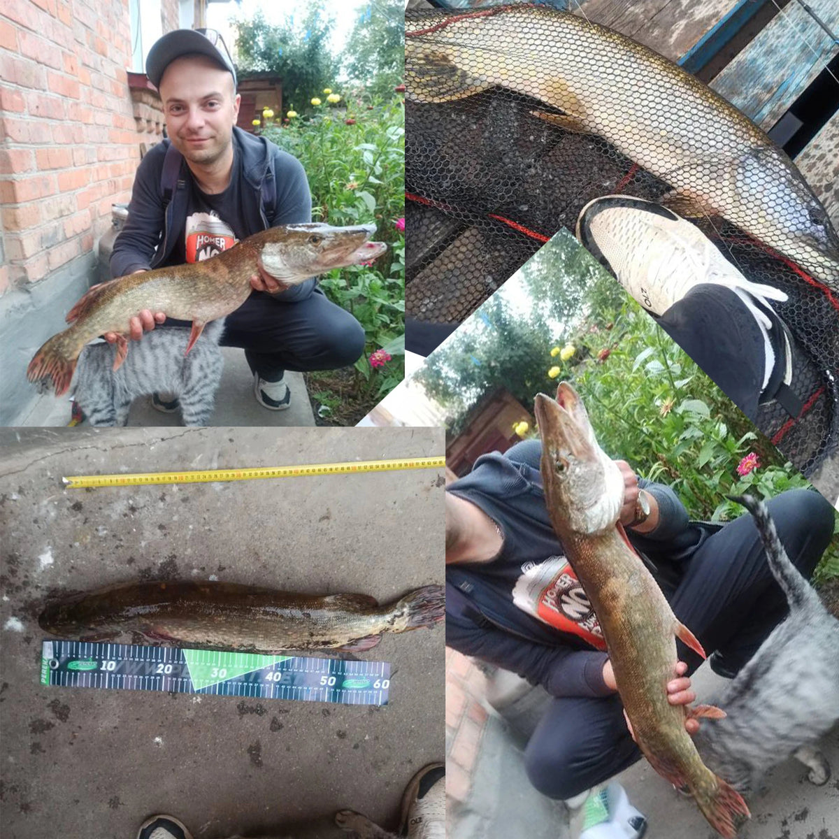 BIUTIFU Bigfish Carbon Carp Surfcasting Fishing Rod for Shore Casting