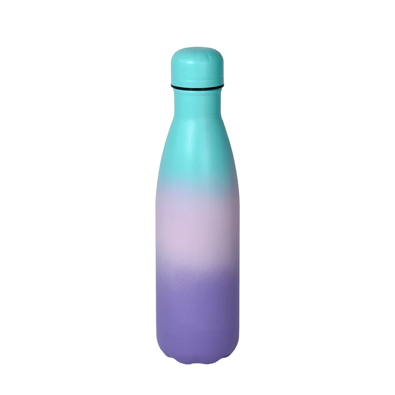 Double Wall Vacuum Insulated Stainless Steel Leak Resistant Water Bottle