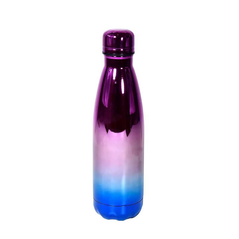 Double Wall Vacuum Insulated Stainless Steel Leak Resistant Water Bottle
