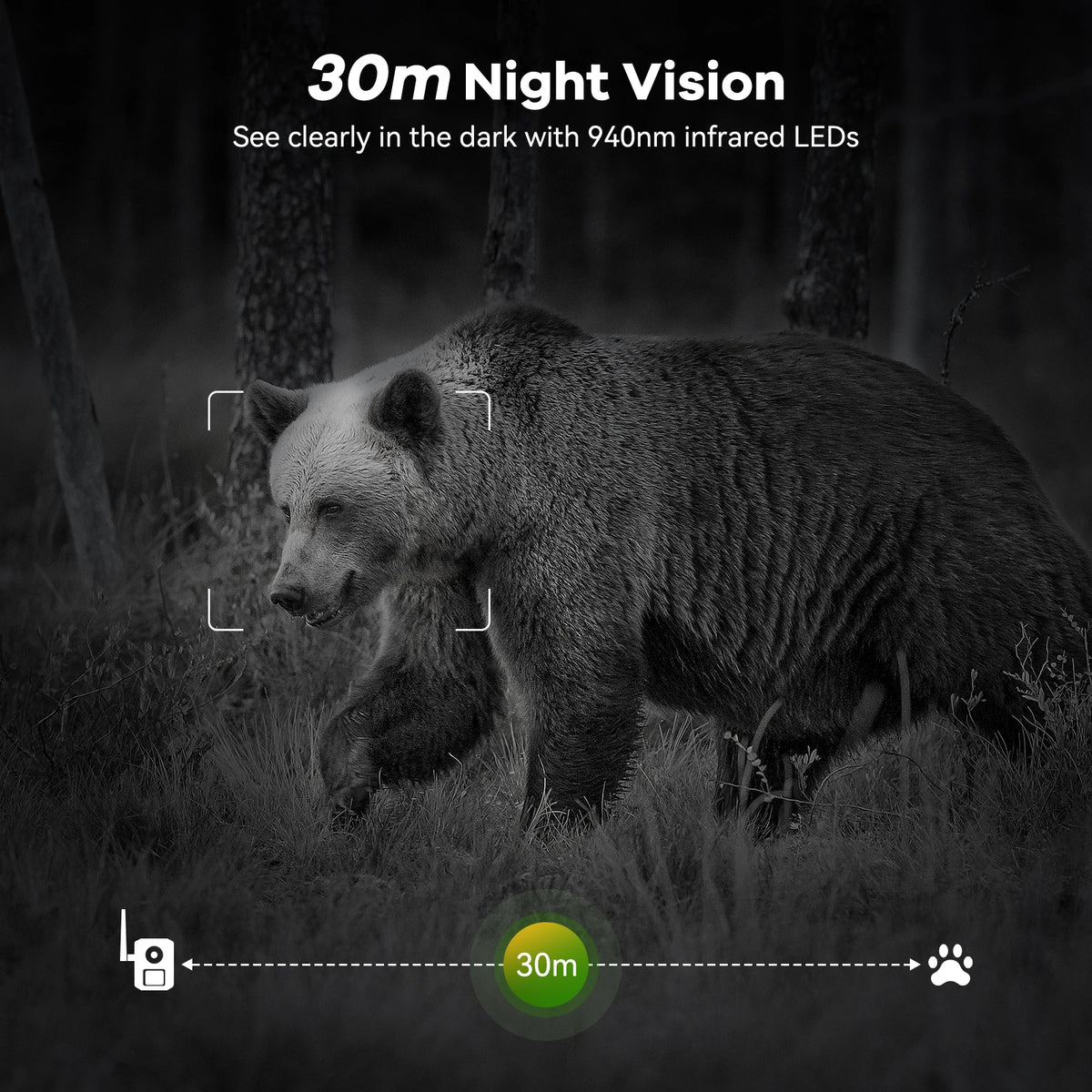 4G LTE Solar Camera Featuring Night Vision And Motion Alerts