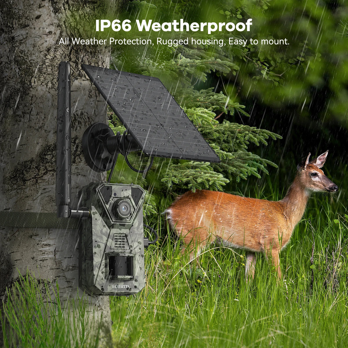 4G LTE Solar Camera Featuring Night Vision And Motion Alerts